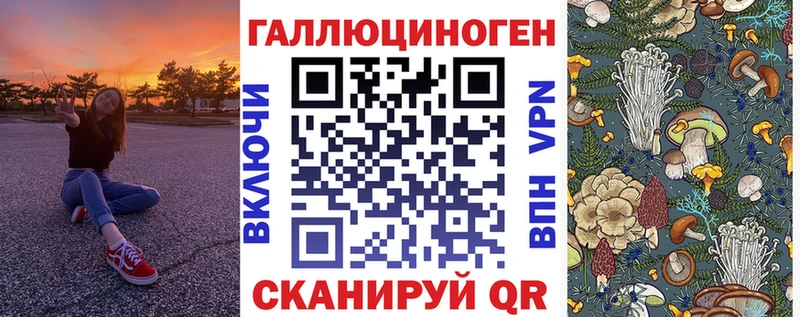 Псилоцибиновые грибы Cubensis  Купить где  Терек 